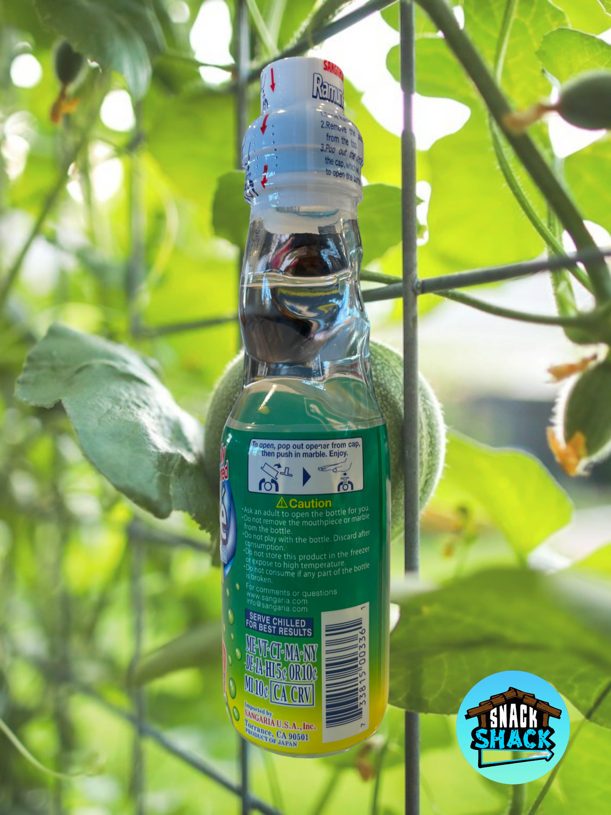 SangariaGlassMelonRamune-Back-