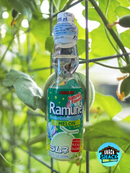 Sangaria Ramune Melon Flavor (Japan)