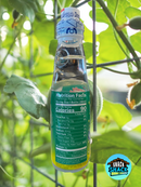 Sangaria Ramune Melon Flavor (Japan)